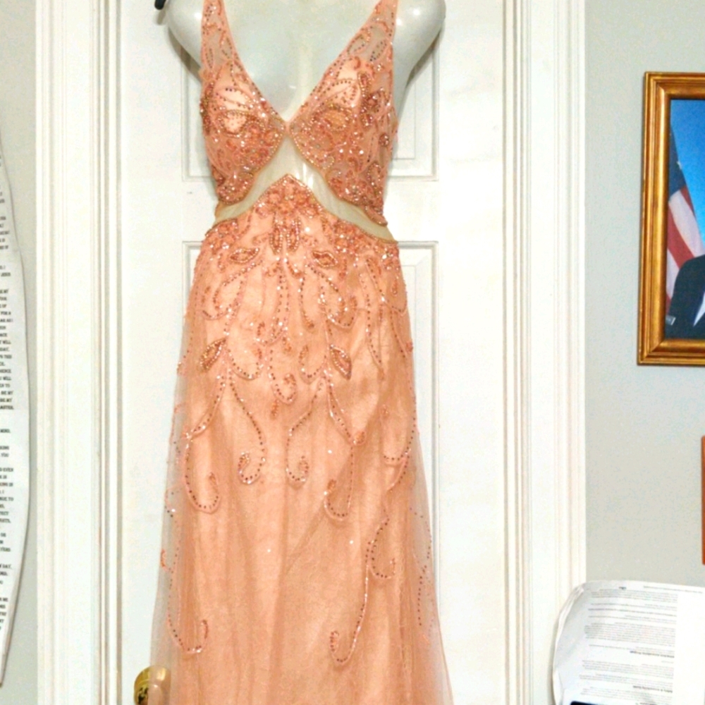 Beautiful evening gown